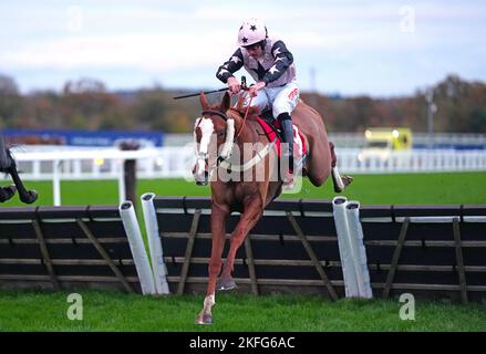 Der Fragesteller, der von Jockey Henry Brooke auf dem Weg zum Gewinn der Handicap-Hürde für Anfänger der Paddock Ownership Day Series auf der Ascot Racecourse geritten wurde. Bilddatum: Freitag, 18. November 2022. Stockfoto