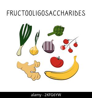 Fructooligosaccharides-containing food. Groups of healthy products containing vitamins and minerals. Set of fruits, vegetables, meats, fish and dairy Stock Vektor
