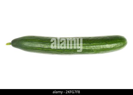 Ganze frische grüne Gurke isoliert auf weißem Hintergrund. Stockfoto