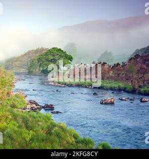 Afon Glaslyn Llyn Dinas Nantgwynant Flusstal, Snowdonia-Nationalpark Gwynedd North Wales UK, Spätfrühling. Stockfoto