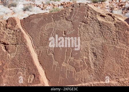 Twyfelfontein, Namibia - 07 16 2013: Felsgravuren sind ein UNESCO-Weltkulturerbe im Norden Namibias Stockfoto