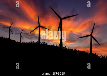 Silhouetten einer Gruppe von Windturbinen und einem Pinienwald in einem Berg vor einem dramatischen Himmel mit einem wunderschönen Sonnenuntergang, mit Hintergrundbeleuchtung. Erneuerbare Energien. Stockfoto