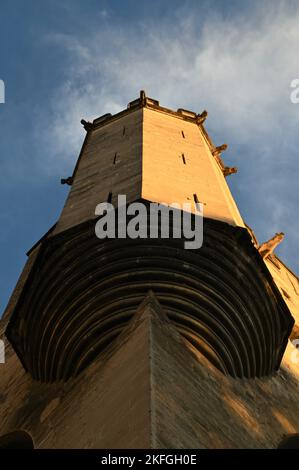 Ein Blick von außen auf die beeindruckende Architektur des Palais des Papes in der historischen französischen Stadt Avignon. Stockfoto