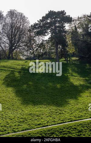 Park des Buttes Chaumont. Nahaufnahme eines schönen Baumes Stockfoto