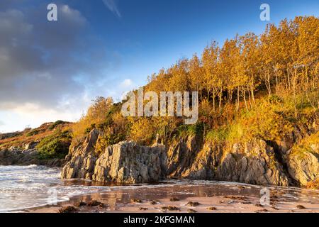 Gairloch Beach an der Atlantikküste im Nordwesten Schottlands Stockfoto