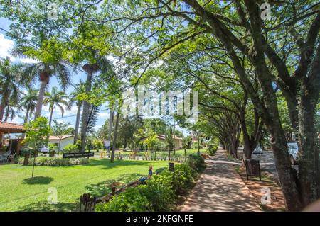 Holambra-sp,brasilien-November 17,2022: Soziales Zentrum von holambra-sp eine Stadt, die als brasilianische Blumenstadt mit holländischer Kultur bekannt ist. Stockfoto