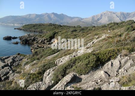 Formia, Italien. Blick auf die unberührte Küste des Mittelmeers im Parco di Gianola e Monte di Scauri. Das Aurunci-Gebirge ist hinten. Stockfoto