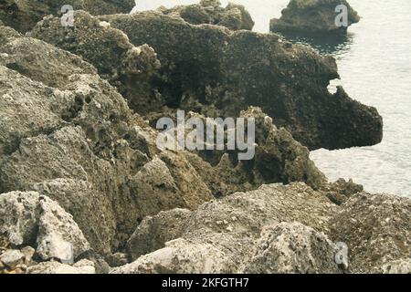 Parco di Gianola e Monte di Scauri, Italien. Erodierte Felsformationen an der Mittelmeerküste. Stockfoto