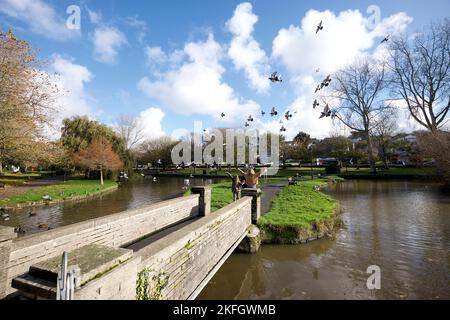 Newquay Cornwall UK 1118 2022 Trenance Gardens Stockfoto