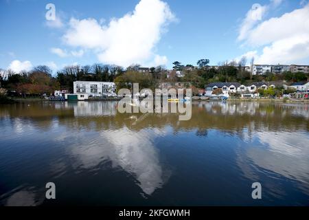 Newquay Cornwall UK 1118 2022 Trenance Gardens Stockfoto