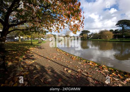 Newquay Cornwall UK 1118 2022 Trenance Gardens Stockfoto