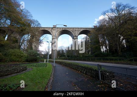 Newquay Cornwall UK 1118 2022 Trenance Gardens Stockfoto