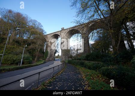 Newquay Cornwall UK 1118 2022 Trenance Gardens Stockfoto