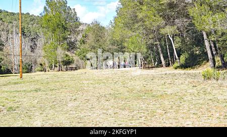 Naturpark Sant Llorens de Munt i l'Obac, Bages, Moyanés; Comarca del Valles Occidental, Barcelona, Katalonien, Spanien, Europa Stockfoto