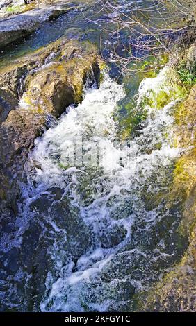 Naturpark Sant Llorens de Munt i l'Obac, Bages, Moyanés; Comarca del Valles Occidental, Barcelona, Katalonien, Spanien, Europa Stockfoto