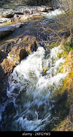 Naturpark Sant Llorens de Munt i l'Obac, Bages, Moyanés; Comarca del Valles Occidental, Barcelona, Katalonien, Spanien, Europa Stockfoto