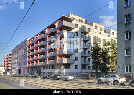 Wien, Wohnhausanlage Geiselbergstraße 28, Wohngarten // Wien, Wohnanlage, Geiselbergstraße 28, „Wohngarten“ Stockfoto
