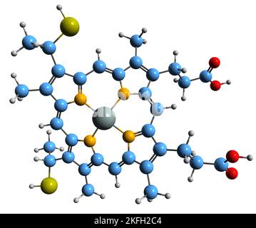 3D Bild der Skelettformel von Heme C - molekularchemische Struktur von Porphyrin auf weißem Hintergrund isoliert Stockfoto