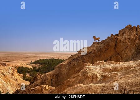 Blick auf die Bergoase von Shebika, mitten in der Sahara-Wüste, Tunesien Stockfoto