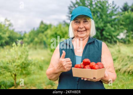 Erdbeerzüchter mit Ernte. Die Bäuerin reicht im Sommer auf einem Bauernmarkt im Garten auf einem Öko-Papierkarton frische Erdbeeren Stockfoto