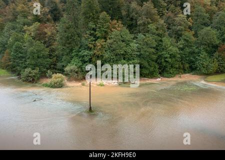 Sturzflut von einem Gebirgsbach oder Fluss, der schnell aus dem Wald und überlaufendem umliegenden Feldgebiet fließt, Luftaufnahme. Stockfoto