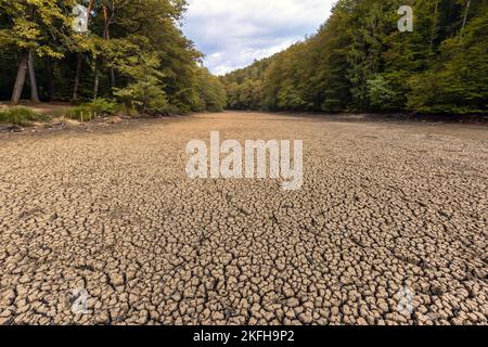 Gesprungener Boden durch Trockenheit, dehydrierter Lehmboden, schlechte Auswirkungen der trockenen Sommersaison Stockfoto