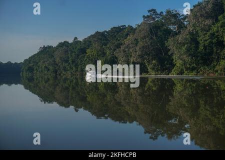 Ein Panoramablick auf den Fluss Vaupes in Kolumbien Stockfoto