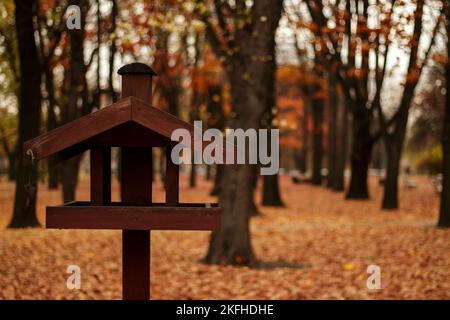 Herbstlandschaft - ein Vogelfutterhäuschen in Form eines Hauses vor einem Hintergrund von gelbem Herbstlaub Stockfoto