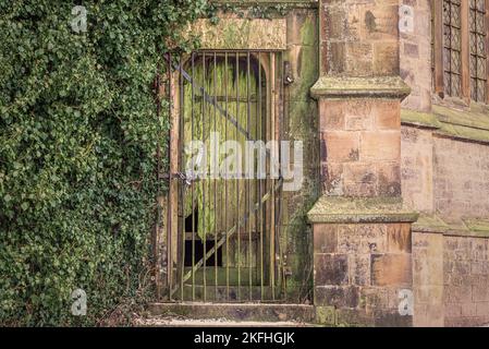 Alte, verfallene Kirchentür mit grünem Schimmel und überwachsenem Efeu, der um sie klettert. Mit Vorhängeschloss und Ketten. Stockfoto