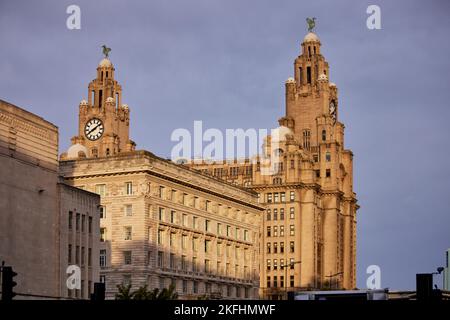 Das Royal Liver Building, denkmalgeschütztes Gebäude in Liverpool, England Stockfoto