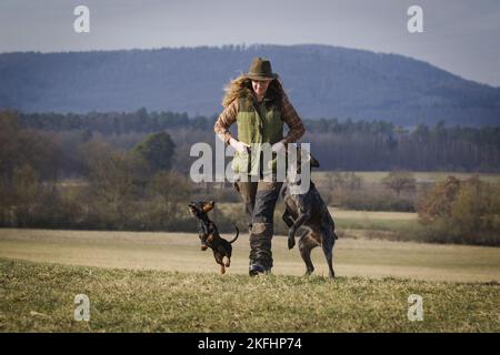 2 Hunde Stockfoto