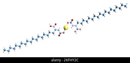 3D Bild der Skelettformel von Calcium stearoylfumarat - molekularchemische Struktur des Lebensmittelzusatzstoffes Е486 isoliert auf weißem Hintergrund Stockfoto
