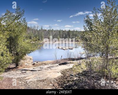 Malerischer Blick auf den ruhigen See, umgeben von üppigen grünen Bäumen, die in Wäldern vor blauem Himmel während der Sommersaison wachsen Stockfoto