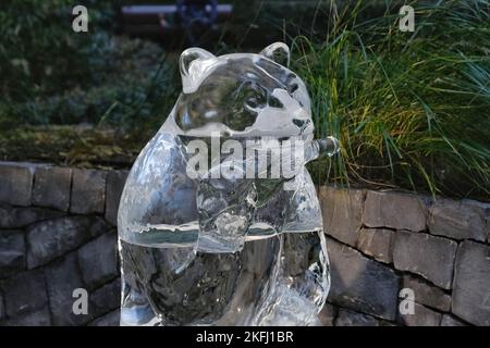 London, Großbritannien. 18.. November 2022. Eine Skulptur eines Eisbären, der auf einer Plastikflasche kaut - der Einfluss der Menschheit auf die natürliche Welt. Das Winter Ice Festival findet an drei Tagen auf der Canary Wharf statt - von Donnerstag, dem 17.. Bis Samstag, dem 19.. Abend, wo Besucher die Entstehung von großen Eisskulpturen beobachten, auf den Spuren von 15 gefrorenen gefährdeten Tieren wandern und an praktischen Aktivitäten teilnehmen können; Sie modellieren ihren eigenen Eisbären oder schnitzen auf einer eisigen Graffitti-Wand. Kredit: Elfte Stunde Fotografie/Alamy Live Nachrichten Stockfoto