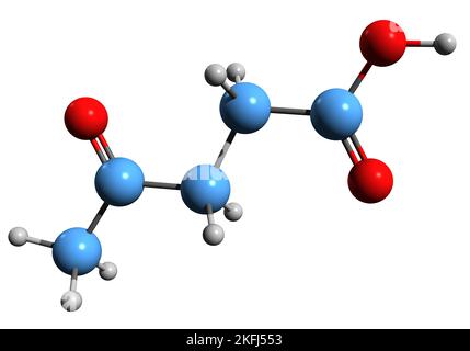 3D Bild der Skelettformel der Levulinsäure - molekulare chemische Struktur der 3-Acetopropionsäure isoliert auf weißem Hintergrund Stockfoto