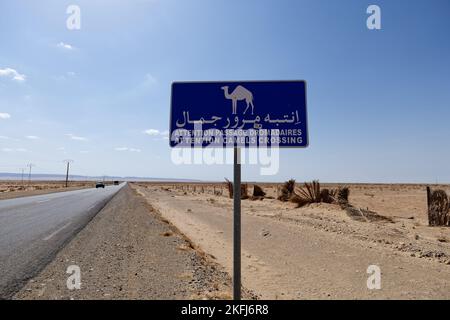 Straßenschild Aufmerksamkeit Kamele überqueren. Hüten Sie sich vor Kamelen, die die Straße im Wüstenpostschild überqueren. Fahren und reisen Sie mit Vorsicht. Respektieren Sie die Tiere. Stockfoto