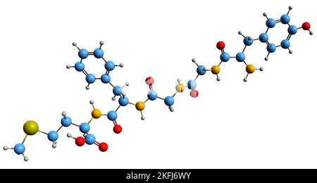 3D Aufnahme der Skelettformel von Met-Enkephein - molekularchemische Struktur des Opioid-Wachstumsfaktors isoliert auf weißem Hintergrund Stockfoto