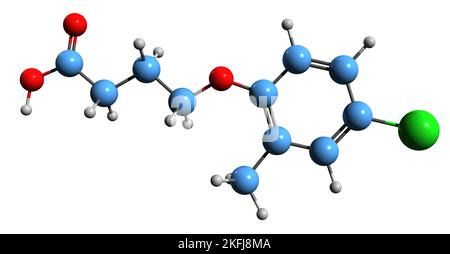 3D Bild der Skelettformel der Chlormethylphenoxybutansäure - molekularchemische Struktur des Phenoxybutyric-Herbizids auf weißem Hintergrund isoliert Stockfoto