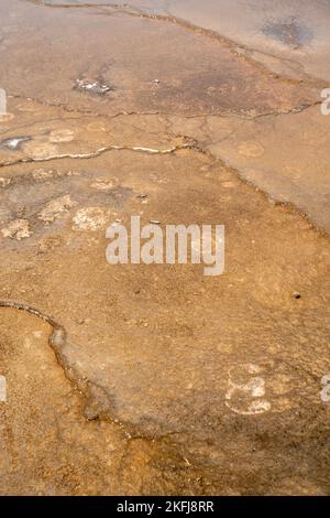 Ein Foto von Grand Prismatic Spring aus Midway Geyser Basin; Yellowstone National Park; Wyoming, USA. Stockfoto