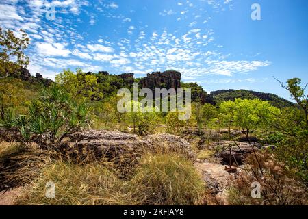 Panoramablick auf die hoch aufragenden Klippen von Burrungkui (Nourlangie), einer abgelegenen Formation des Arhnem Land Escarpment, von der Gunwarddehawa aus gesehen Stockfoto