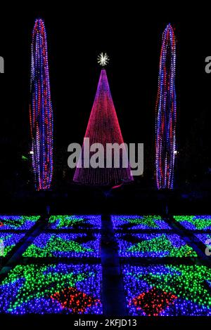 Beleuchteten Weihnachtsbaum und Quilt Garden bei Winter Lights Veranstaltung im North Carolina Arboretum - Asheville, North Carolina, USA Stockfoto