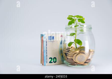 Euro-Banknoten auf weißem Hintergrund. 20-Euro-Banknoten-Konzept neben einem Glasbehälter mit Pflanzen, die in Sparmünzen wachsen. Speicherplatz kopieren. Stockfoto