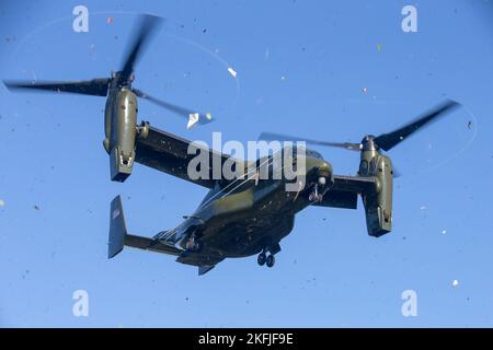 Ein Fischadler VM-22 fliegt während der Information Warfighter Exercise (IWX) im Camp Upshur auf der Marine Corps Base Quantico, Virginia, 16. September 2022 über dem Kopf, um ein Flugblatt fallen zu lassen. Das IWX ist eine Schulungsveranstaltung, die sich auf die Umsetzung aller informationsbezogenen Fähigkeitsanforderungen mit der gemeinsamen Truppe, Regierungsbehörden und Partnerländern konzentriert, die allen Marine Corps-Operationen genaue Fachkenntnisse zur Verfügung stellt. Stockfoto