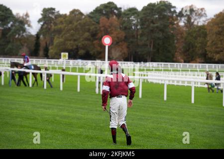 Ascot, Bergen, Großbritannien. 18.. November 2022. Ein fieser Wurf für Jockey Sam Twiston-Davies von Pferd Master Chewy im Troy Asset Management Introductory Hurdle Race auf der Ascot Racecourse, bevor er fällt. Quelle: Maureen McLean/Alamy Live News Stockfoto