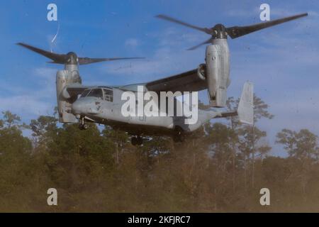 Ein U.S. Marine Corps MV-22B Osprey Flugzeug transportiert U.S. Marines mit Maritime Special Purpose Force, 26. Marine Expeditionary Unit (MEU) während eines Fast Rope Masters Kurses in Stone Bay, auf dem Marine Corps Base Camp Lejeune, North Carolina, 17. November 2022. Diese Schulung bereitet die Servicemitarbeiter auf den Einsatz und die Extraktion durch Hubschrauber vor und bescheinigt ihnen, den Seilbetrieb mit ihren jeweiligen Einheiten zu überwachen. Der Fast Rope Masters Kurs ist einer von mehreren Trainings der Expeditionary Operations Training Group, die Marines und Matrosen der MEU vor dem Einsatz unterrichten. (USA Marine Stockfoto