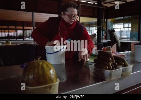 Cherson, Ukraine. 17.. November 2022. Eine Ladenbesitzerin wird dabei gesehen, wie sie die Öffnung ihrer Theke mit eingelegten Gurken und Wassermelone vorbereitet. Die Bewohner von Kherson sind immer noch überglücklich über die Befreiung der Stadt und setzen mehr als 8 Monate der Besetzung zu Ende. Dennoch verfügt die südliche regionale Hauptstadt noch immer über keinen Strom, kein Wasser und ein Minimum an Signal- und Nahrungsmittelversorgung. (Foto von Ashley Chan/SOPA Images/Sipa USA) Quelle: SIPA USA/Alamy Live News Stockfoto