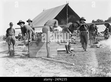 Nationalgarde von D.C. im Lager, 1916. Stockfoto