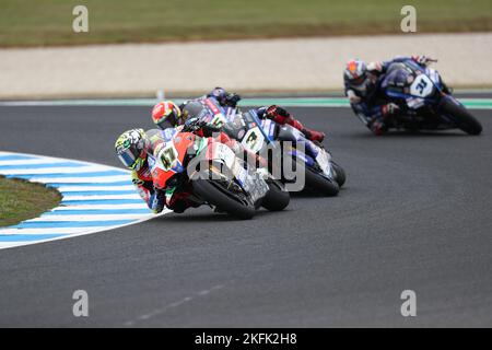 Victoria, Australien. 19.. November 2022. Alex Bassani (ITA) beim Motocorsa-Rennen auf der Ducati Panigale V4R beim Tissot SuperPoll während der australischen Grand Ridge-Runde 2022 der MOTUL FIM Superbike-Weltmeisterschaft 2022 auf Phillip Island, Australien, am 19 2022. November - Bildquelle: brett keating/Alamy Live News Stockfoto