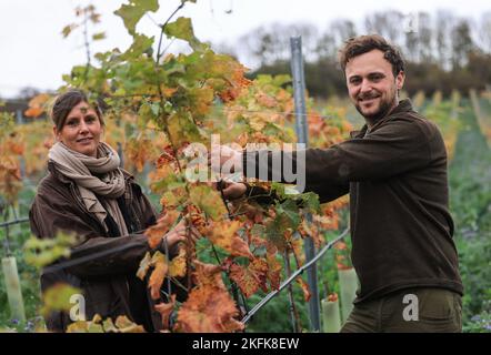 PRODUKTION - 03. November 2022, Nordrhein-Westfalen, Vlatten: Lisa (l) und Markus Schäfer, Winzer und Bauern, stehen in ihrem Weinberg in der Eifel. Wenn alles gepflanzt ist, wird es einer der größten Weinberge in Nordrhein-Westfalen sein. (To dpa 'Weinberg in der Eifel: Junges Winzerpaar realisiert Traum') Foto: Oliver Berg/dpa Stockfoto