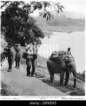 Halbton von Elefanten am Rande des malaiischen Waldes: Die 'schweren Lastwagen' von Perak, aus einer pädagogischen Publikation, 1927 Stockfoto